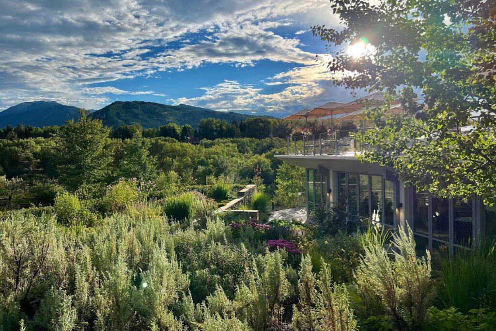 SANCTUM Aspen 8